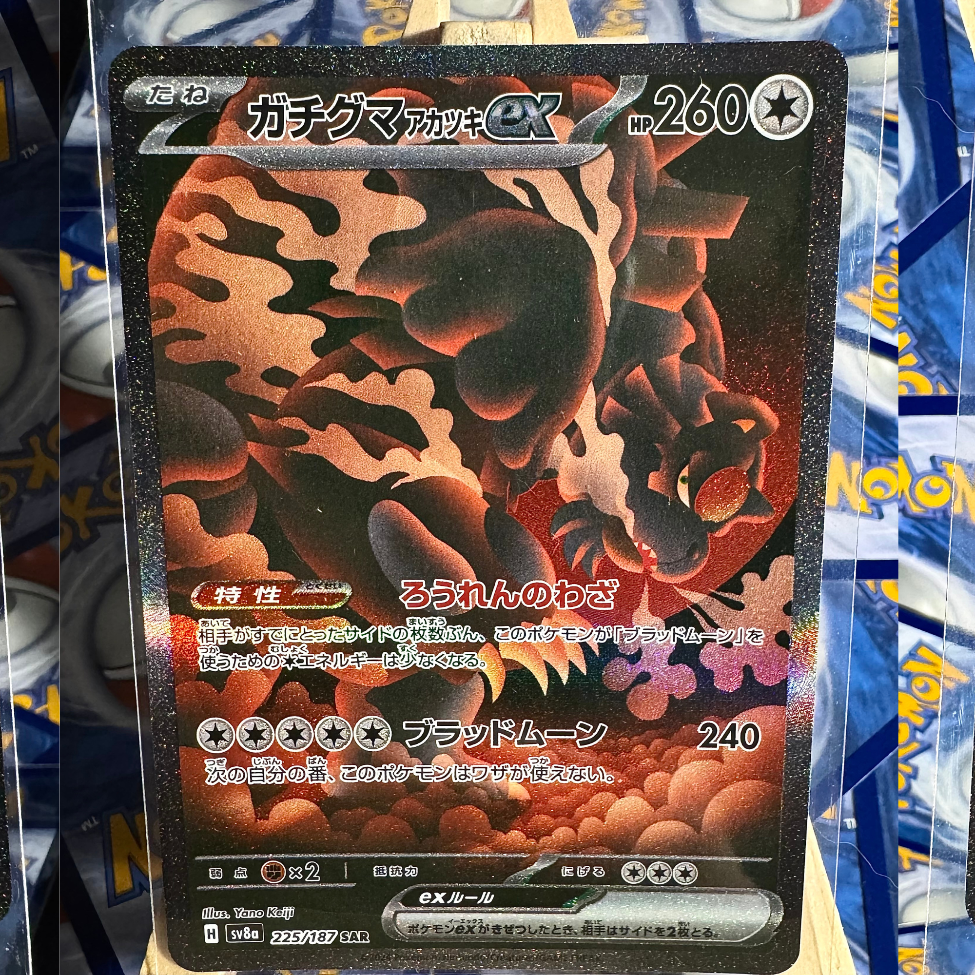 Ursaluna ex SAR 225/187 - JP